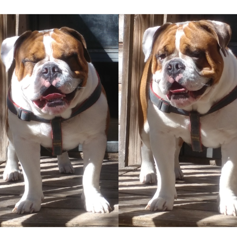 Meet your Posher, Marie